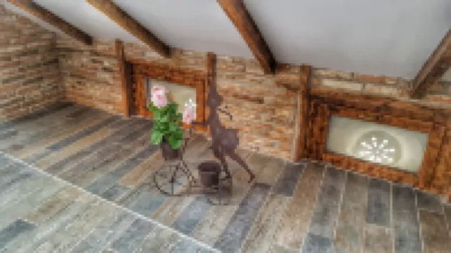 Windmill Studios by Rembrandt Old Town