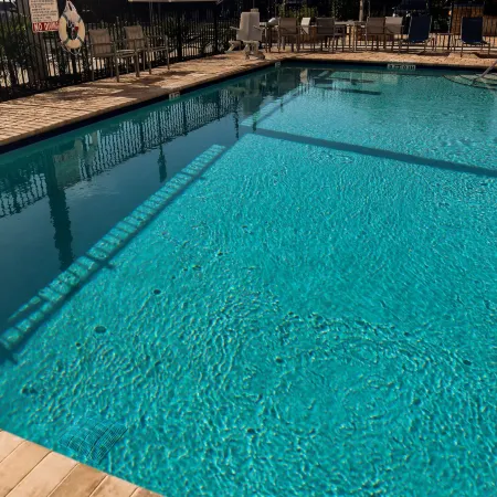 Comfort Suites Gainesville Near University