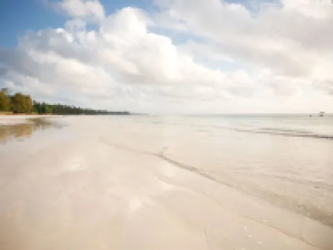 Mzima Beach Residences - Diani Beach Hotels in Galu