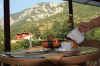 Pensiune Safrane Hotels in Baile Herculane