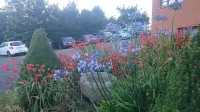 Hotel Rural Yeguada Albeitar - موقف سيارات