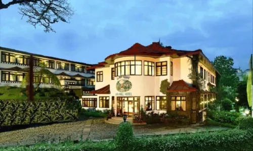 더 엘진 노트힐