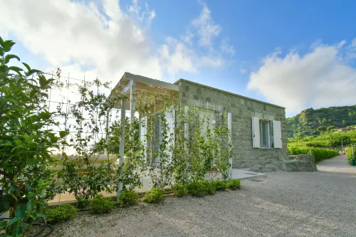 Tenuta C'Est la VIE