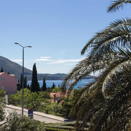 Apartments Djurkovic