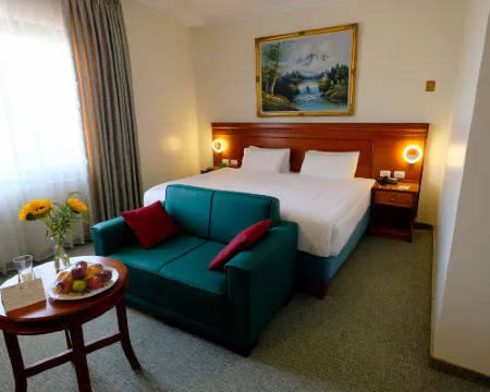 シティ イン パレス ホテル ラマッラのホテル