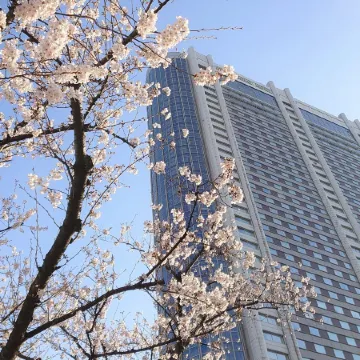 Tokyo Dome Hotel