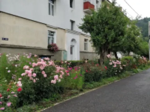 Teo's Flat Hotels in 