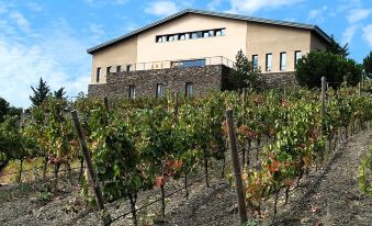 Buil & Gine Wine Hotel
