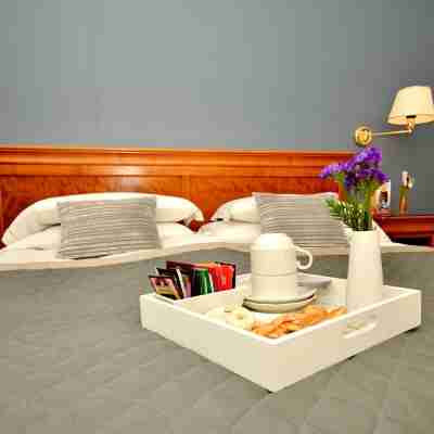 黛安娜花園 Spa 飯店 Rooms