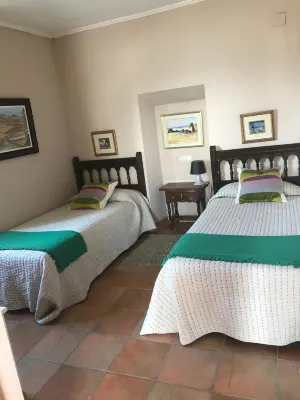El Olivo de Sansol