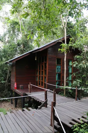 Borneo Natural Sukau Bilit Resort