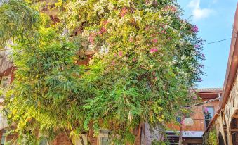 Ninh Binh Greenland Homestay