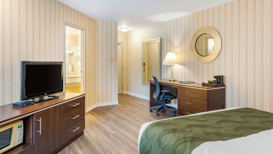 Quality Hotel & Suites