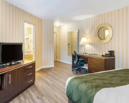 Quality Hotel & Suites Hotéis em Sherbrooke