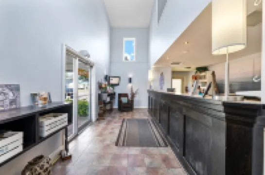 Shores Inn & Hotel Hotels in Shediac