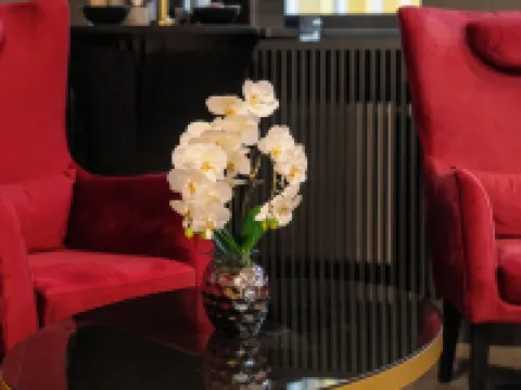 PLAZA INN Salzburg City Hotels in Salzburg