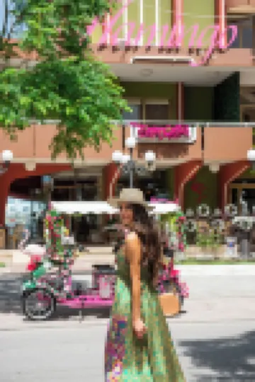 Hotel Flamingo