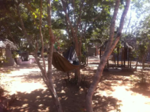 Bananyana Backpackers