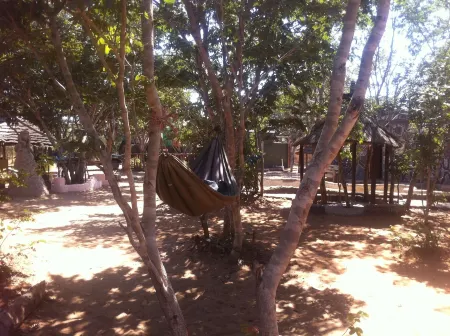 Bananyana Backpackers