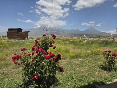 Parasut Village Hotel Отели в г. Sagdic Koyu