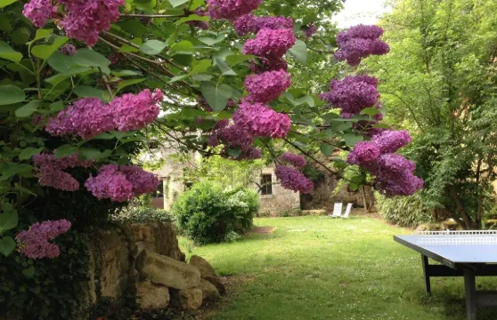 阿爾卡妮貝萊 - 魅力民宿