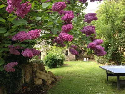 L'Arcane du Bellay Hotels in Ternay