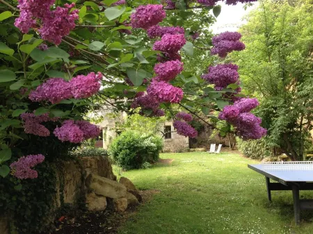 L'Arcane du Bellay Отели в г. Дуэ-ан-Анжу