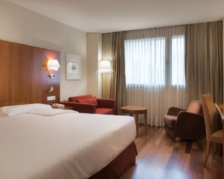 NH Zamora Palacio Del Duero Hotels in Zamora