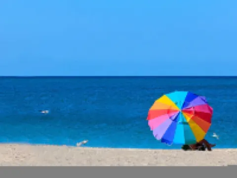 Hibiscus Waterfront Heated Pool-Dock-Bikes-Kayaks Hotels in Punta Gorda