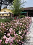 Tenuta Agriturismo la Borina Hotel di Soave