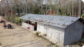 Nepal Himalayan Paulownia Resort