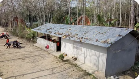 Nepal Himalayan Paulownia Resort Отели в г. Дибянагар