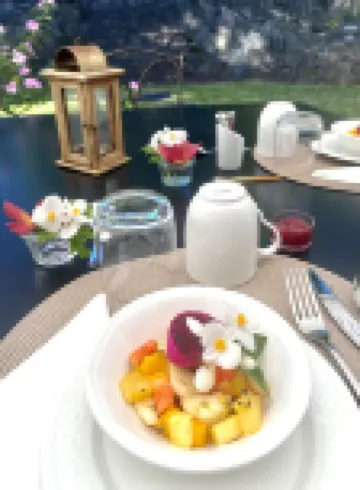 貝勒皮埃爾的逃逸 聖但尼酒店