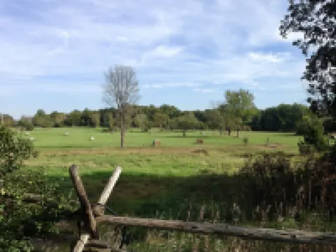 哈萊姆石門民宿