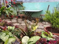 3-bedroom Baguio house, affordable and near to tourist spots Hotel in zona Benguet State University Administration Office