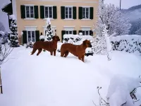 Vacation apartment in the Grisons Oberland Hotels in Breil/Brigels