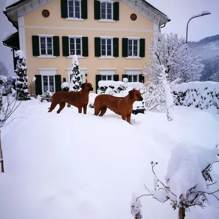 Vacation apartment in the Grisons Oberland