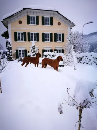 Vacation apartment in the Grisons Oberland
