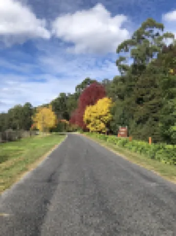 Beautiful Spacious Apartment Set Amongst Botanical Gardens with a Spa