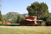Villa with pool in civita di bagnoregio OFFER FIRST 10 DAYS MONTH OF AUGUST Hotels in Bagnoregio