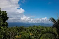 Breathtaking Jungle Views and Abundant Wildlife -  Large pool.