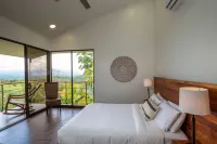 Breathtaking Jungle Views and Abundant Wildlife -  Large pool.