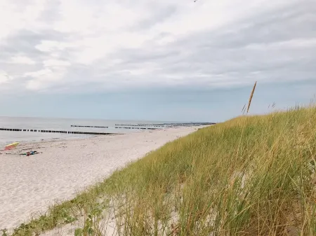 Ferienhaus Ankerherz - The house by the sea, 50 m to the beach and 800 square meter garden Отели в г. Вустров