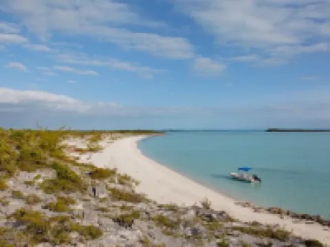 Plumbago - Paradise in the Bahamas with Ocean views Hotels in George Town