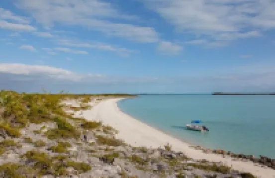 Plumbago - Paradise in the Bahamas with Ocean views
