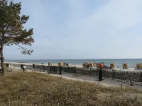 new: recreation between the forest and the waves, apartment 10, house "Rosa Canina"