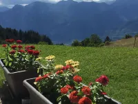 Malga Zanga Hotels in Arco