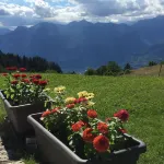 Malga Zanga Hotels in Drena