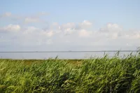 Apartment right on the dike