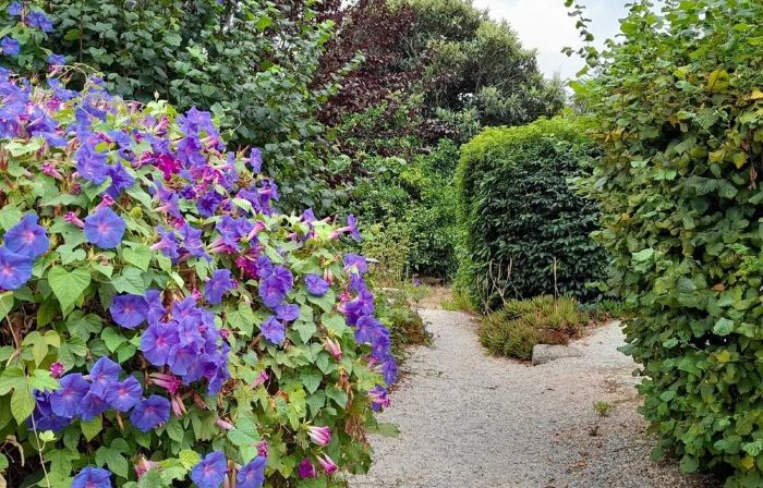 In Portugal, in the Algarve, Pretty Villa in Monchique, With Private Pool,